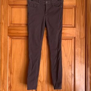 Loft Women’s 2 Brown Velvet Leggings